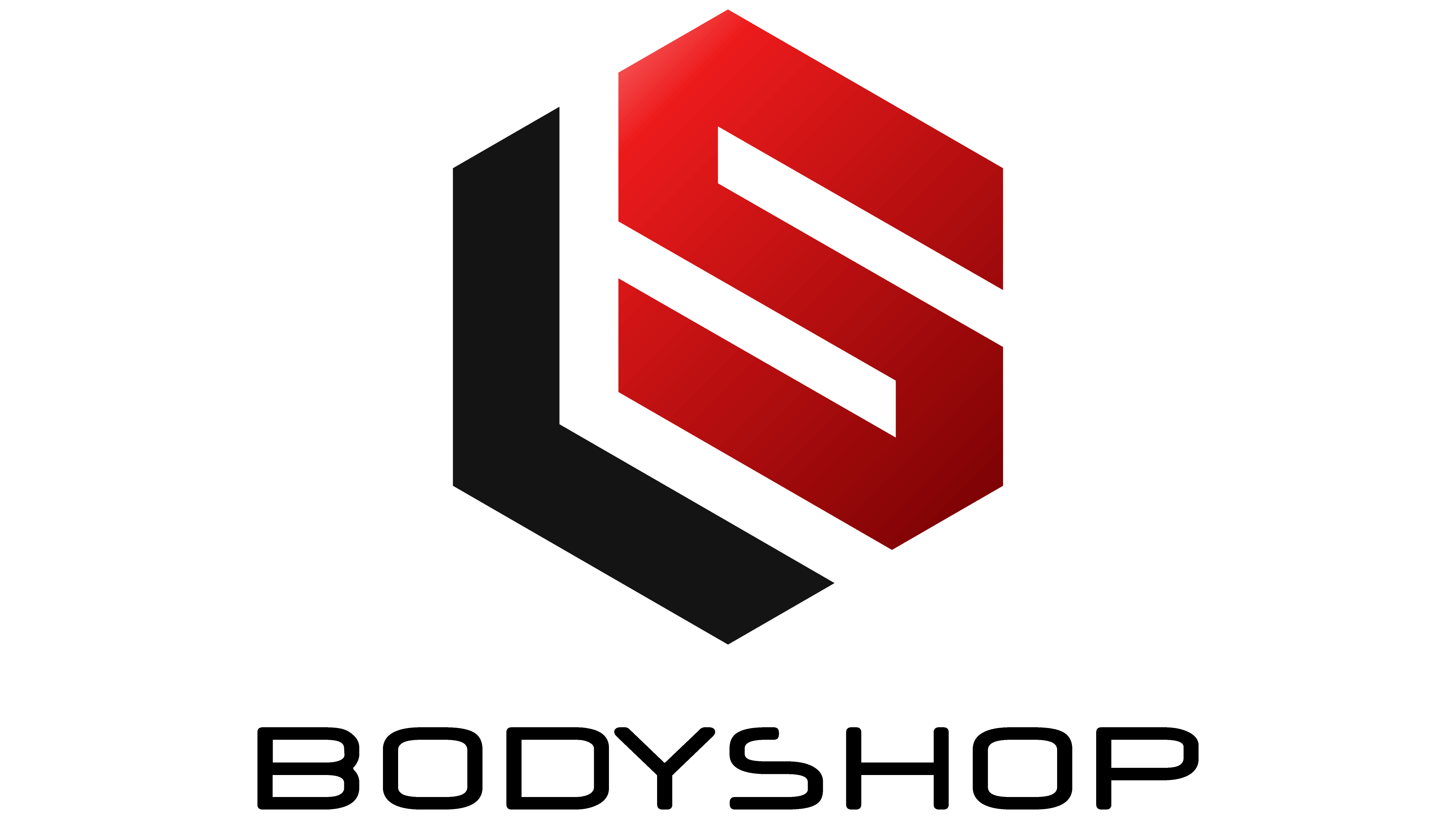 LS BodyShop Logo